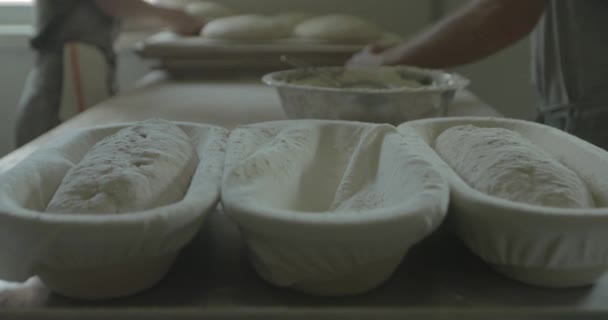 Ekmek Hamuru Daha Sonra Pişirmek Için Tavalarda Yükseliyor — Stok video