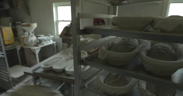 Los Panaderos Hacen Pan Una Panadería Artesanal Trabajando Con Masa — Vídeo de stock