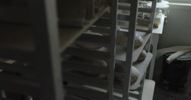 面包面团面包在工艺面包店的架子上升起 以后烘烤 — 图库视频影像