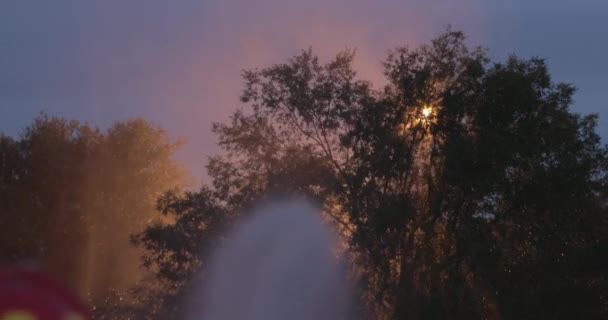 Vista Névoa Água Nas Árvores Enquanto Bombeiros Ligam Uma Mangueira — Vídeo de Stock
