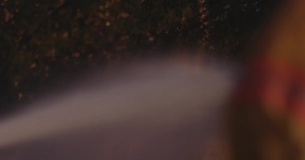 Вид Туман Деревах Пожежники Увімкнути Пожежний Шланг Щоб Обприскувати Воду — стокове відео