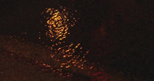 消防車の照明が消防署によって引き起こされる水の水たまりに点滅の反射 — ストック動画