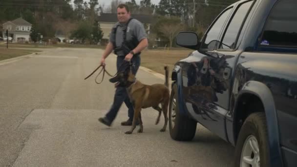 警察は 可能性のある薬物や爆発物をチェックするためにトラックを検査するためにK9犬を使用します — ストック動画