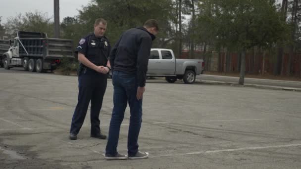 酔った人は警察官との交通停止中にDuiテストを通過しようとします — ストック動画