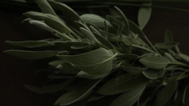 Foglie Salvia Culinaria Bancone Della Cucina Luce Naturale — Video Stock