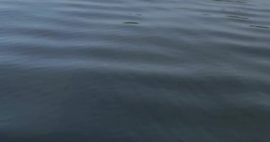Huzurlu zen dalgaları sakin gölde