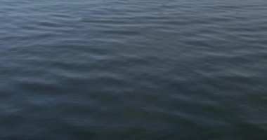 Huzurlu zen dalgaları sakin gölde