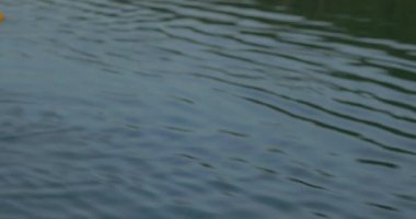 POV güneş doğduktan sonra gölden aşağı uçuyor