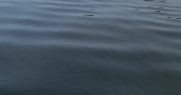 Ondulaciones Zen Pacíficas Lago Tranquilo — Vídeos de Stock