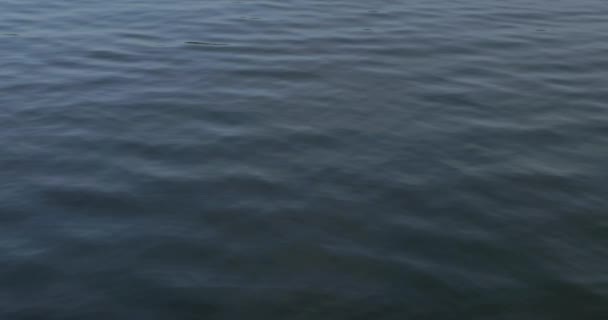 호수에서 평화롭게 물결치는 — 비디오
