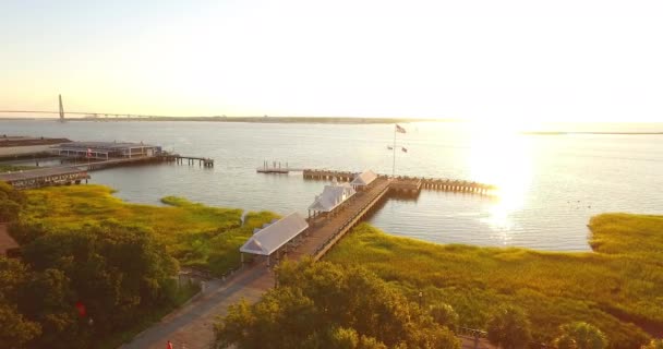 Perspectiva Aérea Descendo Sobre Icônica Fonte Abacaxi Charleston Harbor Charleston — Vídeo de Stock