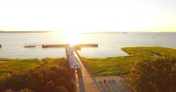Charleston Den Ikonik Pineapple Fountain Charleston Harbor Hava Perspektifi Geliyor — Stok video
