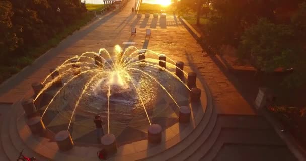 Flygperspektiv Den Ikoniska Ananas Fontänen Och Charleston Harbor Från Charleston — Stockvideo