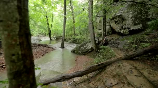 Man Hikes Backpack Trail Thick Forest Flowing Creek — Stock Video