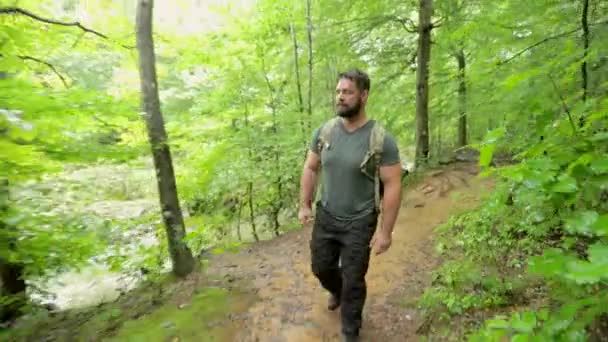 Hombre Camina Con Una Mochila Largo Sendero Través Bosque Espeso — Vídeos de Stock