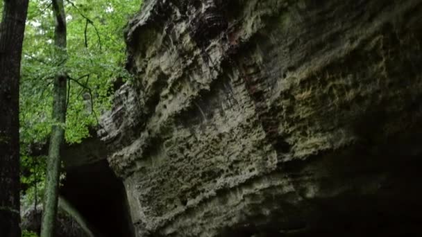 Pan Omhoog Een Massief Rotsgezicht Met Regen Druipend Van Klif — Stockvideo