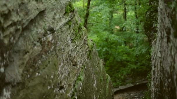 苔で質感のある岩の顔のパンニングショットとそれに栽培地衣類 背景には より多くの岩 岩の形成が集中している — ストック動画