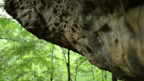 Sliding Shot Van Een Gestructureerde Rotswand Meer Van Rots Bos — Stockvideo