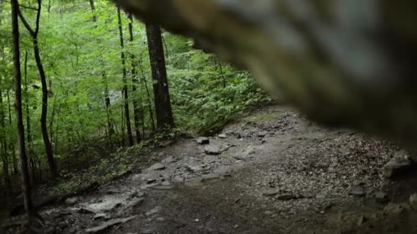 岩の崖の下の明確な領域の映画のスライドショット 雨が石に滴下と — ストック動画