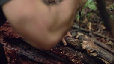 Bir erkek kampçı tarafından yavaş çekimde bir çubuğu kesen bir baltanın ayrıntıları..