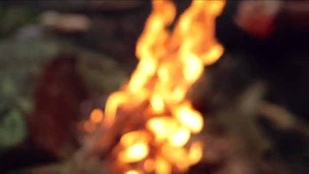 Abstract Blurred Shot Burning Campfire Slow Motion — Stock Video