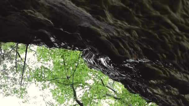 Regen Druipt Van Een Klif Slow Motion Vanuit Een Perspectief — Stockvideo