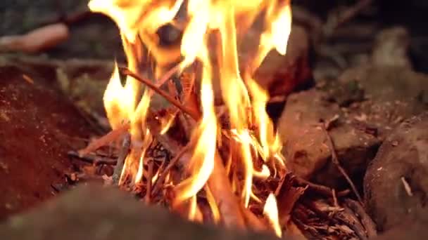 Ağır Çekimde Yanan Küçük Bir Kamp Ateşinin Ayrıntıları — Stok video