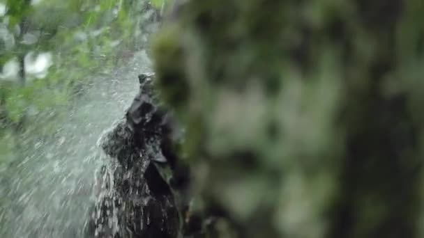 Uma Pequena Cachoeira Penhasco Uma Floresta Detalhes Câmera Lenta — Vídeo de Stock