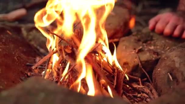 Ağır Çekimde Yanan Küçük Bir Kamp Ateşinin Ayrıntıları — Stok video