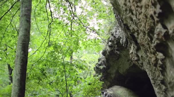 Deszcz Kapie Klifu Zwolnionym Tempie Olbrzymi Głaz Skalny Lesie — Wideo stockowe