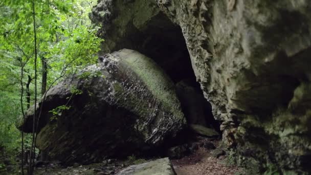 Дождь Капает Скалы Замедленной Съёмке Кастрюли Гигантским Камнем Лесу — стоковое видео