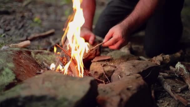 Detalle Campista Macho Encendiendo Palos Fuego Para Una Fogata Cámara — Vídeos de Stock