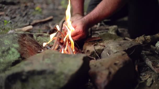 Detalle Campista Macho Encendiendo Palos Fuego Para Una Fogata Cámara — Vídeo de stock