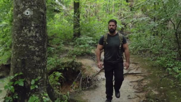 Caminante Masculino Camina Junto Árbol Río Largo Sendero Cámara Lenta — Vídeo de stock