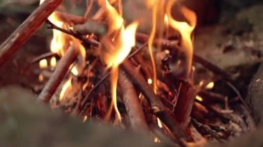 Bir sopa, ağır çekimde yanan bir kamp ateşine yerleştirilir..