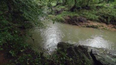 Önünde ağaç dalları olan bir nehir ormanın içinden akar. Yavaş çekim el bilgisayarı.