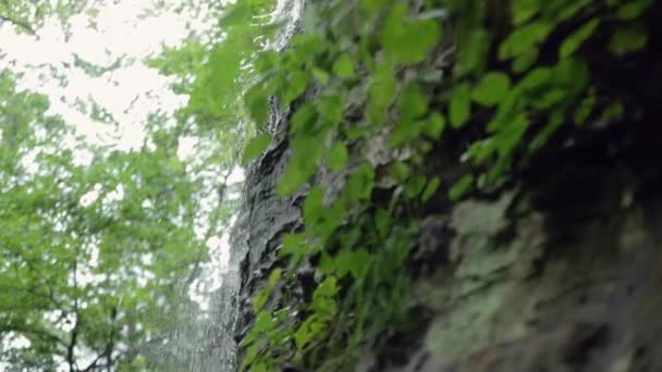 Uma Pequena Cachoeira Precipício Uma Floresta Uma Panela Câmera Lenta — Vídeo de Stock
