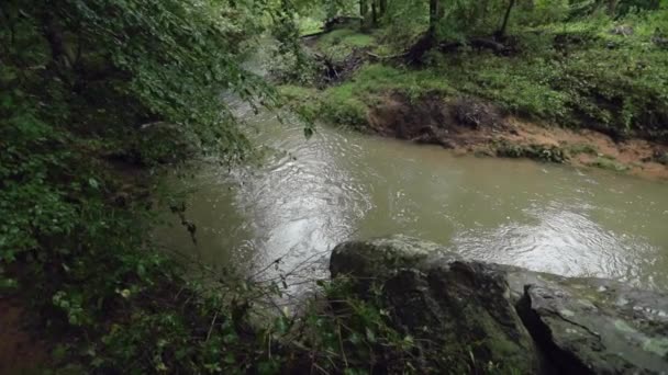 Río Fluye Través Bosque Con Ramas Árboles Primer Plano Portátiles — Vídeos de Stock