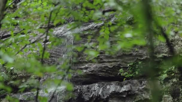 Uma Pequena Cachoeira Penhasco Uma Floresta Câmera Lenta — Vídeo de Stock