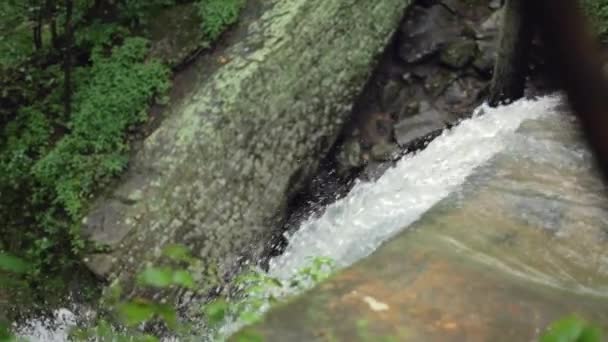 Водопад Течет Над Валуном Замедленном Движении Ветвями Деревьев Переднем Плане — стоковое видео