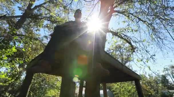 Teenage Boy Plays Guitar Tree Platform Silhouette Backlit Bright Afternoon — Stock Video