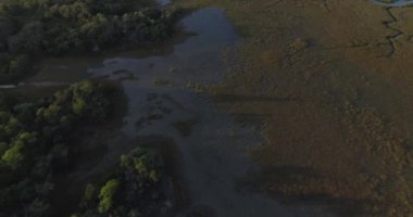 Güney Carolina 'daki Folly Sahili' ndeki bir bataklık ve ormanın hava görüntüsü..