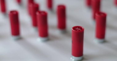 Av tüfeği mermileri beyaz bir yüzeye dizilmişti.