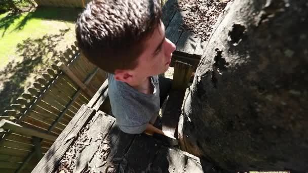 一个少年慢吞吞地爬上梯子 爬上一个树堡平台 捡起一把吉他 — 图库视频影像