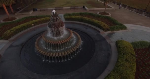 Perspectiva Aérea Giratoria Fuente Piña Amanecer Charleston — Vídeo de stock