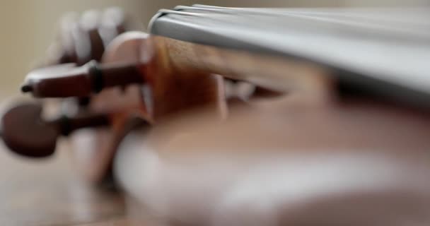 Viola Violino Dettaglio Ravvicinato Del Collo Della Pergamena — Video Stock