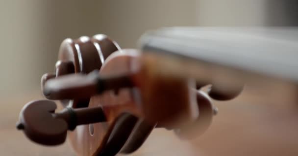 小提琴或小提琴 脖子和卷轴的细部 — 图库视频影像