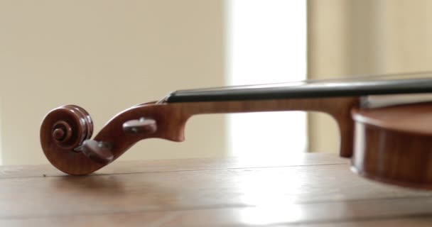 Виола Скрипка Кастрюля Цельного Инструмента — стоковое видео