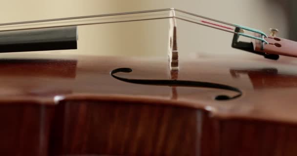 Viola Violino Dettaglio Ravvicinato Ponte Archi — Video Stock