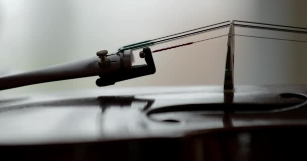 小提琴或小提琴 桥和弦的细节 — 图库视频影像